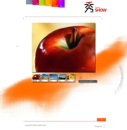 798艺术区的创意桥梁 为中韩设计工作室打造卓越网站与推广策略